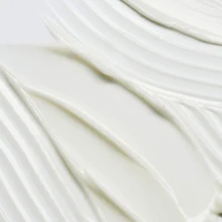 Crèmes*Ilia Barrier Build Skin Protectant Cream Crème Protectrice