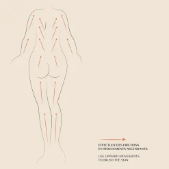 Outils De Massage|Beauty Tools*Oh My Cream Skincare Brosse à Sec Corps