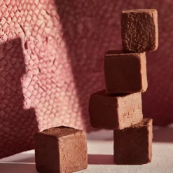 Peau|Pop-Up*Holidermie Cubes Cacao au Collagène