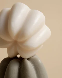 Shampoings*Umaï Le Shampoing Solide Detox