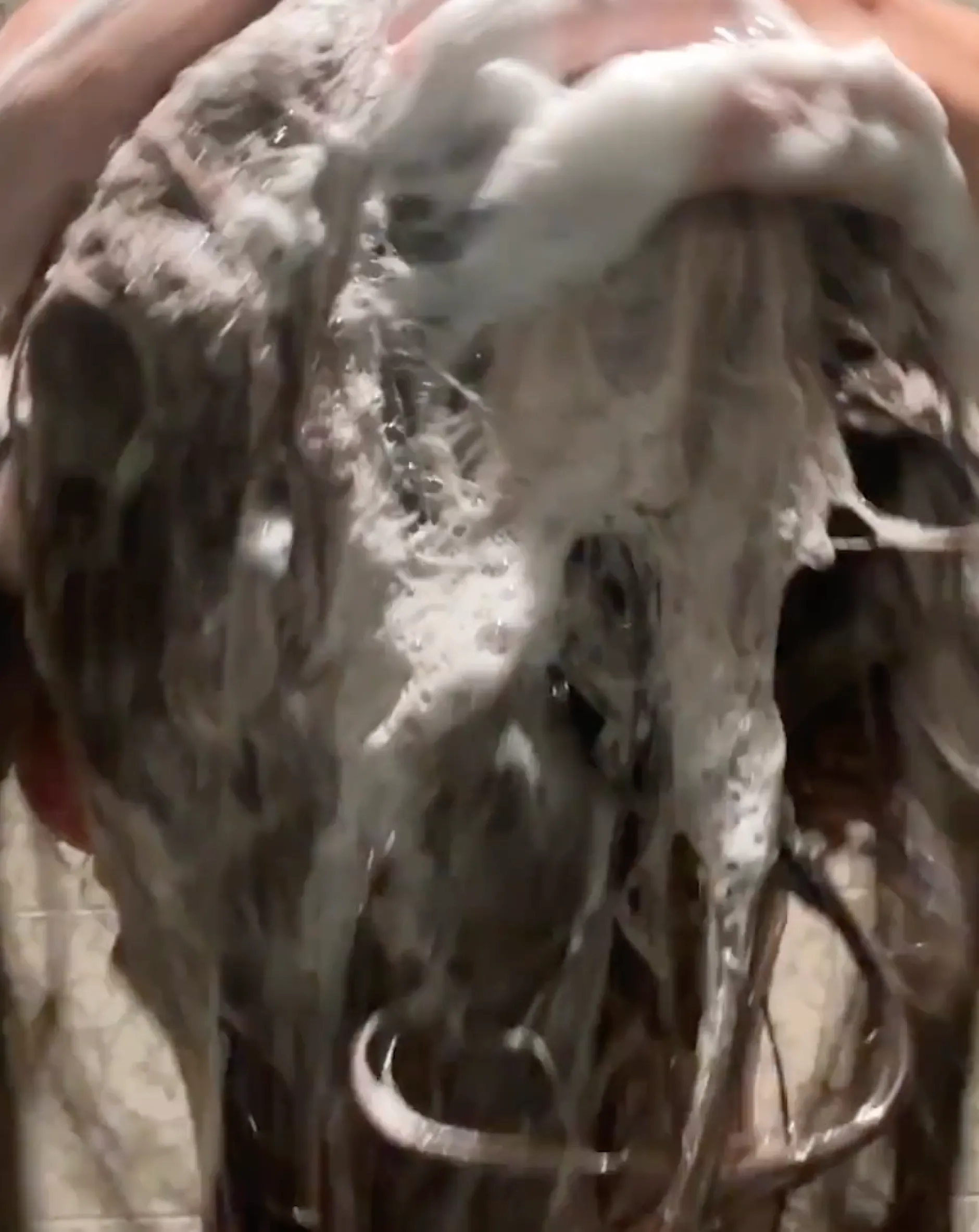 Shampoings*Odacité 552M Shampoo Bar Shampoing Solide Argan + Huile de Coco