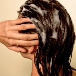 Shampoings*Ceremonia Shampoing Cheveux Fins Weightless Hydration Champú de Yucca