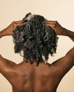 Shampoings*Ceremonia Shampoing Hydratant Champú de Yucca & Witch Hazel