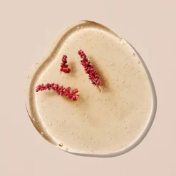 Shampoings*Christophe Robin Shampooing Fortifiant aux Peptides d'Amarante